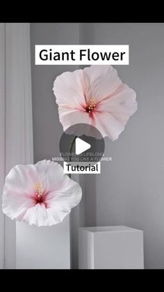 two pink flowers in a white vase with the words giant flower on it's side