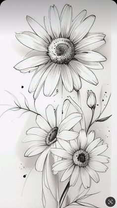 a drawing of two flowers with one flower in the middle and another on the side