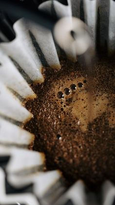 the inside of a paper cupcake with chocolate sprinkles and holes in it