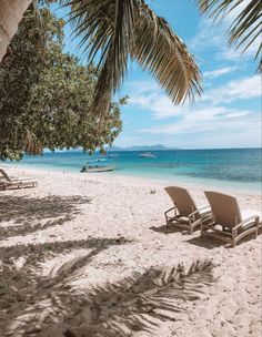 two lounge chairs sitting on top of a sandy beach under a palm tree next to the ocean