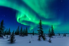 the aurora bore is shining brightly in the night sky over snow covered trees and evergreens