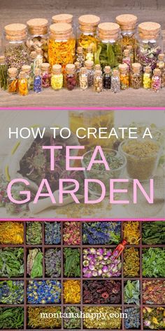 an image of how to create a tea garden with text overlay that reads, how to create a tea garden