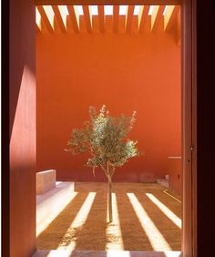 an open door with a tree in the middle and sunlight coming through it on top