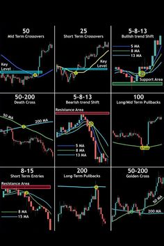 the forex trading system with different levels and positions for each indicator, as well as long term indicators