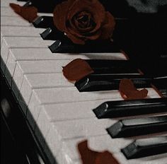 a rose sitting on top of a piano with black keys and red petals scattered around it