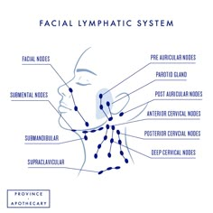 Face Diagram, Nervus Vagus, Lymph Drainage Massage, Lymph Massage, Lymph System, Lymph Drainage, Yoga Facial, Lymph Nodes