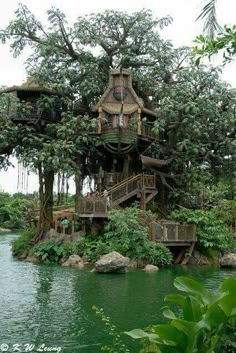 a tree house built into the side of a body of water