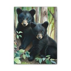 two black bears are sitting in the woods together, one is looking at the camera