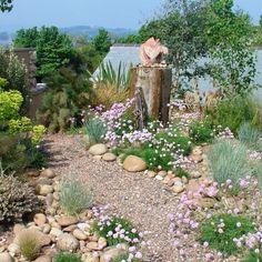 a garden with rocks and flowers next to the water