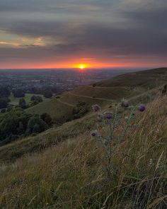 the sun is setting over a grassy hill