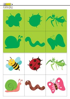 an image of insect shadow matching game