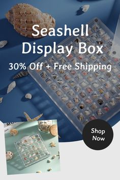 the seashell display box is 30 % off + free shipping from shop now on