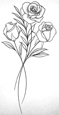 a drawing of three roses on a white background with the stems still attached to each other