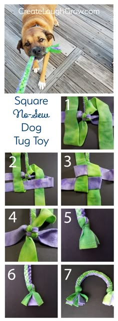 how to tie a dog's collar with ribbon