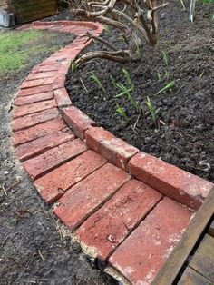 a brick path in the middle of a garden