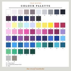 the color palette is shown with different colors