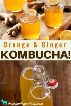 orange and ginger kombucha is an easy drink for the family to enjoy