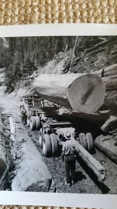 an old black and white photo of men working in the woods with logs on them