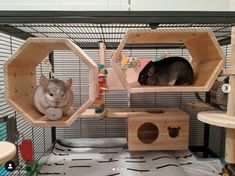 two hamsters are sitting in their cages and one is playing with a toy