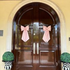 two potted plants with bows on the front door