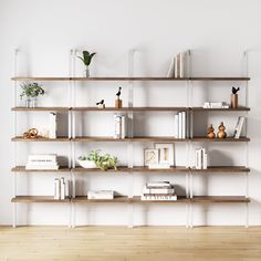 an empty room with bookshelves and plants on the shelves in front of it