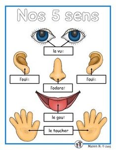 a poster with the words no 5 senses and two hands in front of it