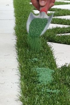 someone is using a brush to clean the grass