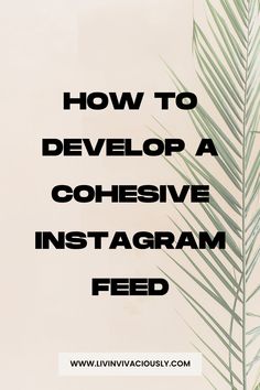 a palm tree with the words how to develop a cohesivee instagram feed