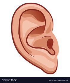 an ear icon in cartoon style on a white background stock photo - 1307895