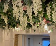 white flowers hanging from the ceiling in a room