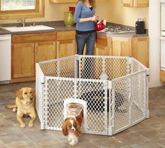 a woman standing next to two dogs in a kitchen with a dog gate on the floor