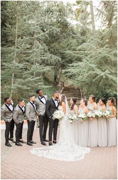 a bride and groom with their bridal party