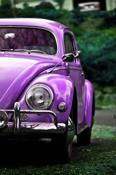 Araba ,mini cooper , mor, mini araba, yeşillik ,araç, minimal, doğa , nostalji , küçük, passat , bmw , skoda Moto Wallpapers, Kate Bishop Hawkeye, Car Iphone Wallpaper, Diy Phone Case Design, Vw Art, Space Phone Wallpaper, Vw Beetle Classic, Vw Vintage, Dont Touch My Phone Wallpapers