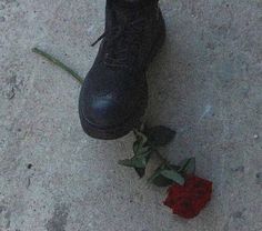 a pair of black shoes standing next to a red rose on the ground with dirt