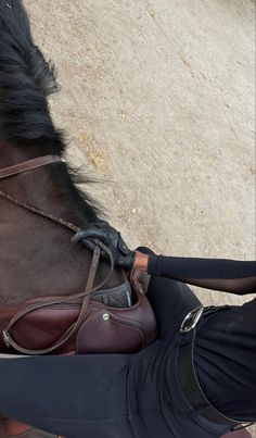 a woman is sitting on the ground petting a horse's bridle