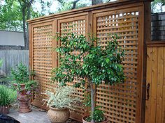 an outdoor garden area with potted plants and wooden privacy screens on the side walk