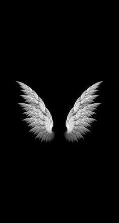 two white angel wings on a black background