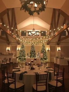 a dining room decorated for christmas with lights on the ceiling and trees in the center