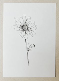 Daisy - April birth flower Daisy Flower Drawing, Small Daisy Tattoo, Daisy Tattoo Designs, Daisy Flower Tattoos, Daisy Drawing, April Birth Flower, April Flowers, Daisy Tattoo, Birth Flower Tattoos