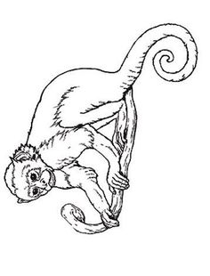 a monkey climbing up the side of a tree branch with its tail hanging down and it's eyes open