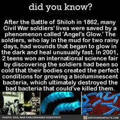 Battle Of Shiloh, Angel S, Science Facts, Historical Facts, Interesting History, The More You Know, Faith In Humanity