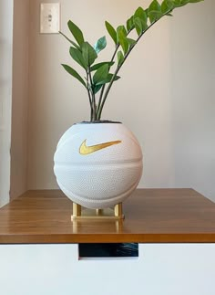 a plant in a white vase on top of a wooden table next to a wall