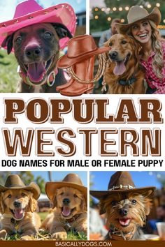 the cover of popular western dogs names for male or female puppies