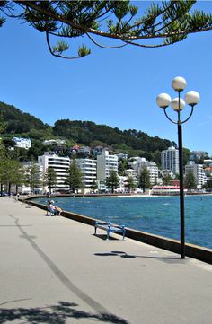 people are sitting on benches near the water