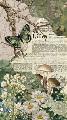 an altered photograph of flowers and butterflies