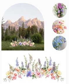 an image of flowers and mountains with the words wildflowers on it in three different stages