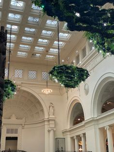 the interior of a large building with lots of plants hanging from it's ceiling