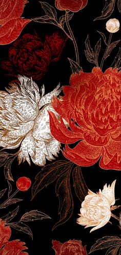 a black background with red and white flowers