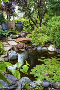 a small pond in the middle of a garden with rocks and water lilies around it