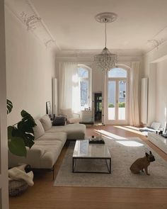 a living room filled with furniture and a dog sitting on the floor in front of it